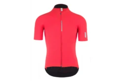 Q36.5 Pinstripe Pro SS Jersey Rubino Dames