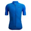 Santini Colore Puro Jersey Royaalblauw Heren
